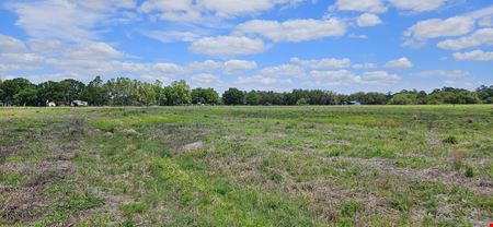 38± Acre Frostproof Grove | Residential Development or Agricultural Opportunity