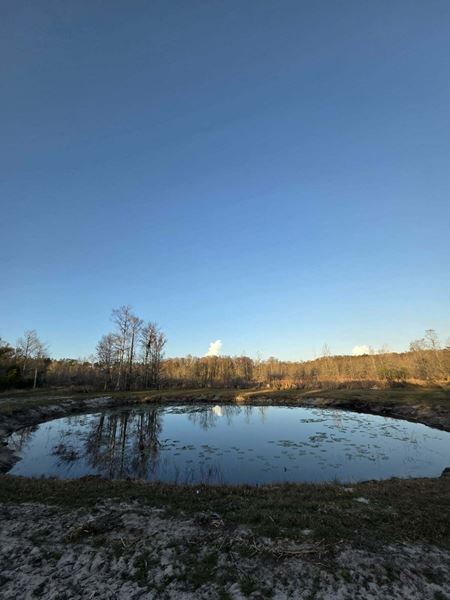 VacantLand space for Sale at 820± Acre Hunting & Recreational Property in Perry FL in Perry