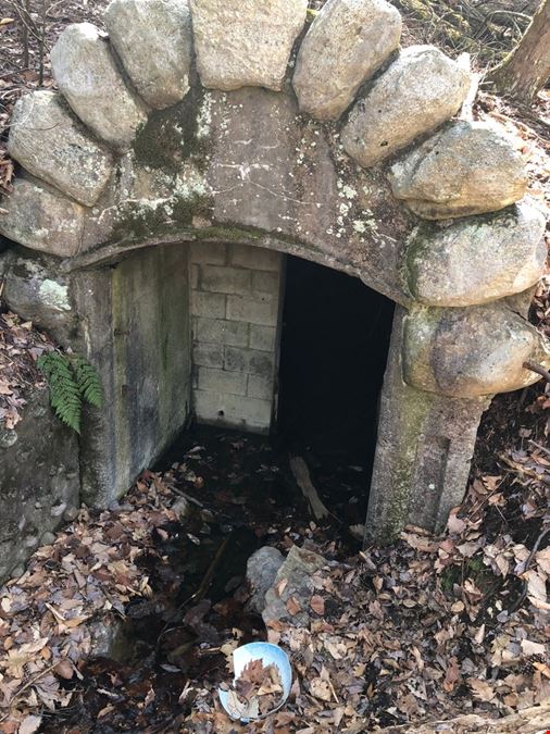 Mountain Spring Artesian Water Source