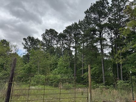 Mira Levee and Hwy 71 Land (98.37 acres)