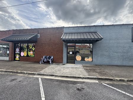 Retail space for Sale at Oneonta Retail Investment in Oneonta