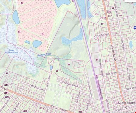 Sumner Avenue Land