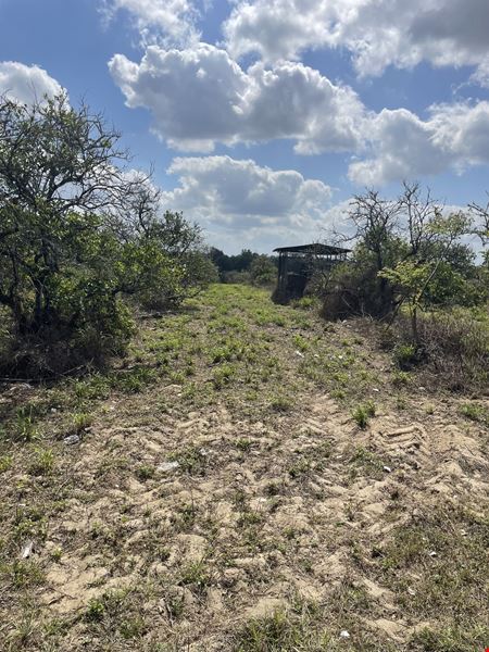 Weirsdale 30 Acre Tract