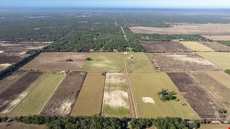 Marion County 24 Acre Ranchette and Homesite