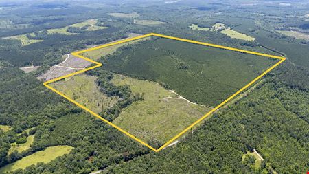 VacantLand space for Sale at Oakey Streak 310 in Georgiana