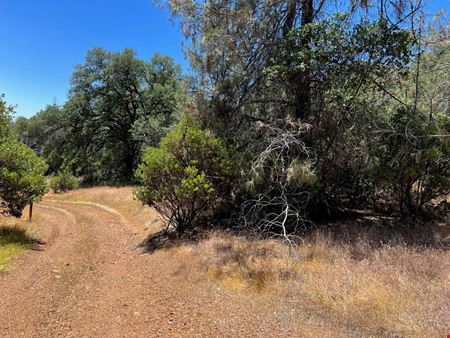 ±20 Acres of Level Land in Brownsville, CA