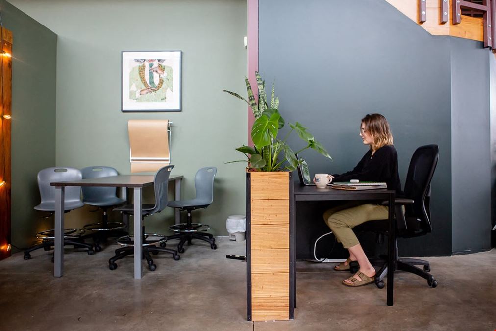 The Studio Downtown
