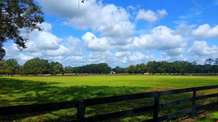 119+/- Commercial Acres