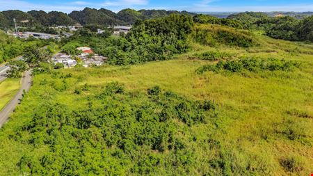 73 Developable Acres in Dorado - For Sale