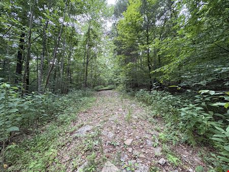 Tract 1 - 50.19± Acres - Knox Ln, Clarksville TN