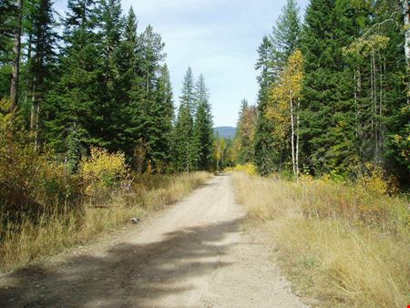 320 Private Wooded Acres West of Kalispell, Montana