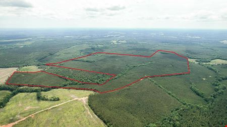 +/- 323 Acre Wooded Tract - Saluda County SC