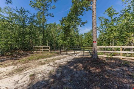 VacantLand space for Sale at 111+/- Acres of Recreational Tract Geared for Hunting on the Aiken and Barnwell County Line in Williston