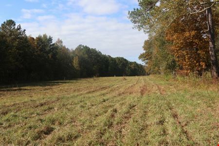 Sweetwater Hill