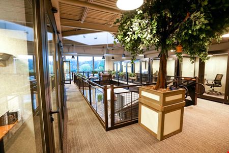 LionShare Cowork - Harbour Village