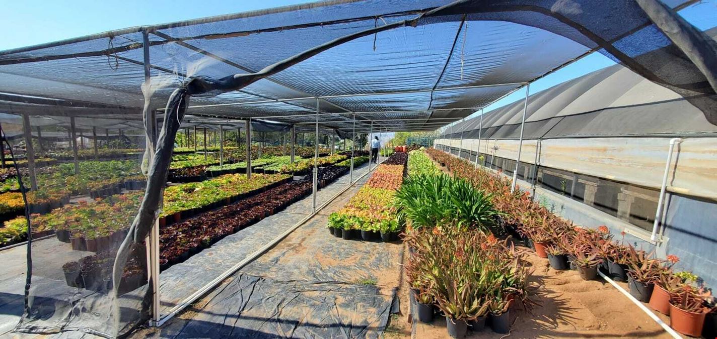 22.86 Acres of Land with 3 houses and greenhouses in Bonsall