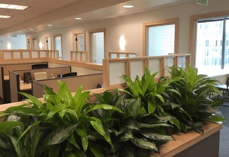 Office space for Rent at Intelligent Office (Nashville) - Intelligent Office Nashville in Nashville