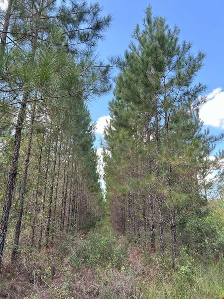 Dunn Creek Tract
