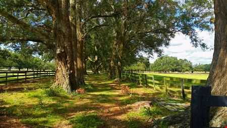 119+/- Commercial Acres