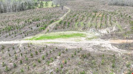 Brown Tract