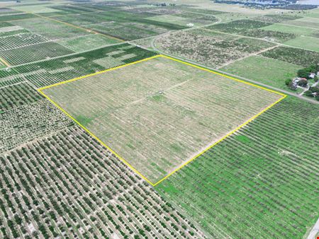 Scenic Highway Frostproof 39 Acres