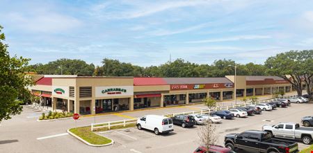 Retail space for Rent at Terrace Ridge Plaza in Temple Terrace