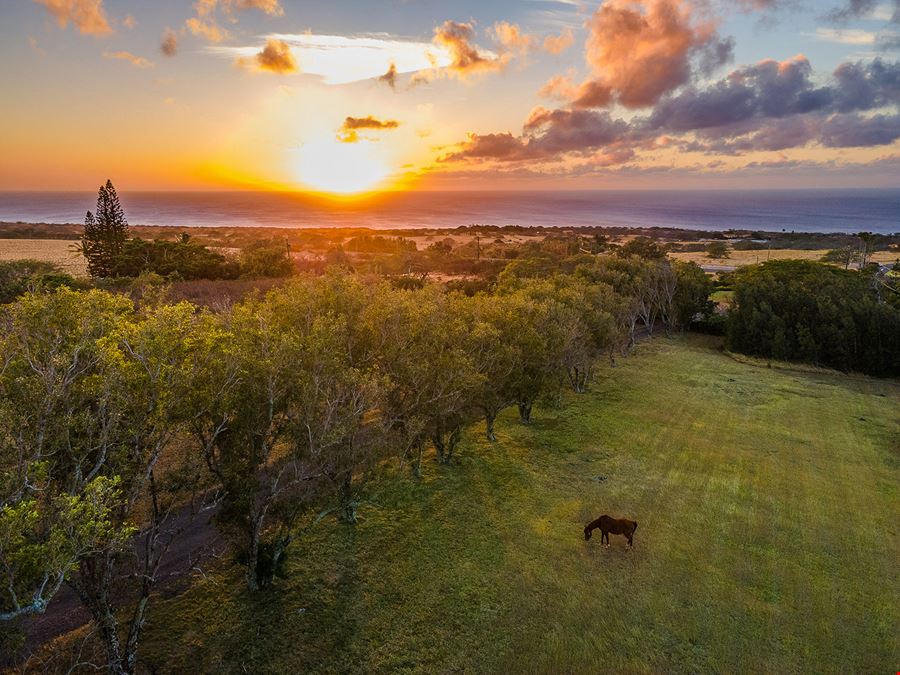 Significant Price Reduction! - Hawaii Guest Ranch