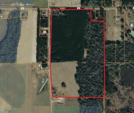 VacantLand space for Sale at 15 Acres in Pansey, AL | Planted Pines & Privacy in Pansey