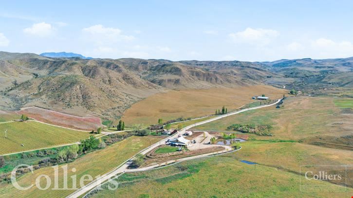 Vineyards, Winery, Restaurant & Home For Sale | 3 Horse Ranch Vineyards