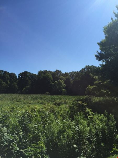 200 Acres Pine Hollow Golf Course - Leoni Township