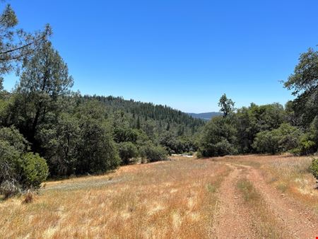 ±20 Acres of Level Land in Brownsville, CA