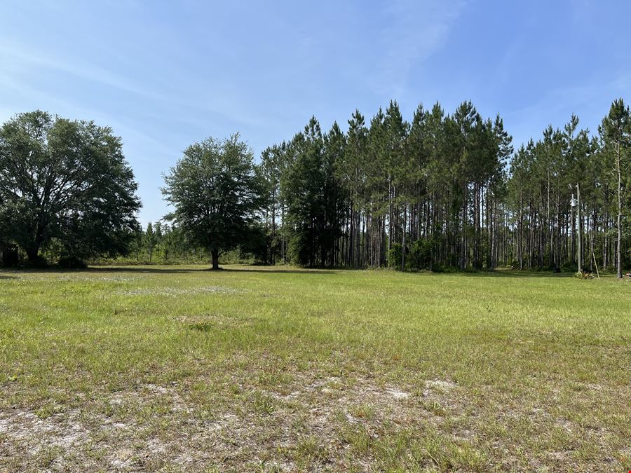 Taylor County Timber Hunting & Homesite