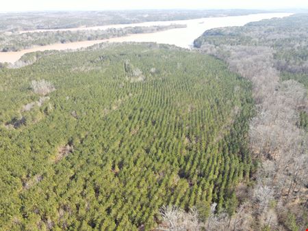 VacantLand space for Sale at Rocky Creek Road - 341.52 Acres in Hampton