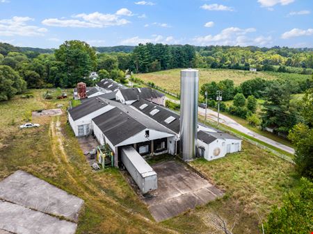 Brick House Farm-Taro Investment Corporation Bankruptcy