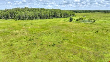 Osceola County Hunting & Recreational Tract