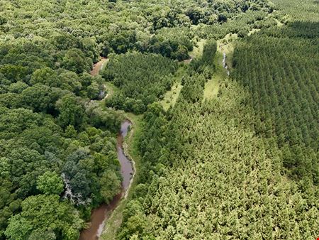 VacantLand space for Sale at East Fork Ranch & Timber in Clopton