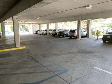 South Tampa / Hyde Park Medical / Professional Office