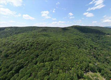 173 ACRES MOUNTAIN-SIDE LAND
