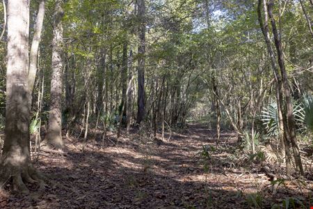 Dodge County River Property