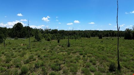 25.5 +/- Acres in Horse Country