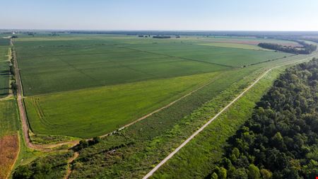 Mosby Spur Levee Farm