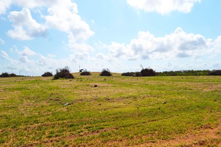 VacantLand space for Sale at Garfield Nursery Road 20 Acres in Lake Wales