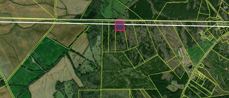 VacantLand space for Sale at Landlocked Deer Hunting Site Or Open Footprint of 4 Acres +/- in Pageland