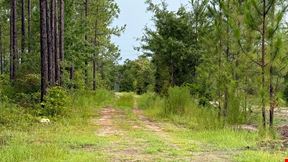 298 Acres in Fountain, FL | High-Fenced Hunting Ranch with Pond & Investment Potential