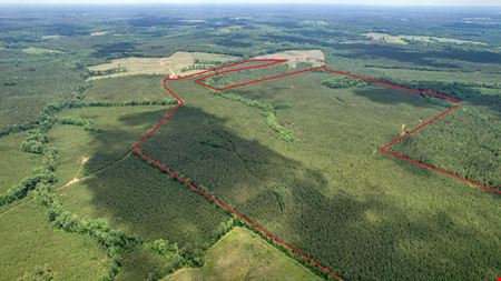 +/- 323 Acre Wooded Tract - Saluda County SC