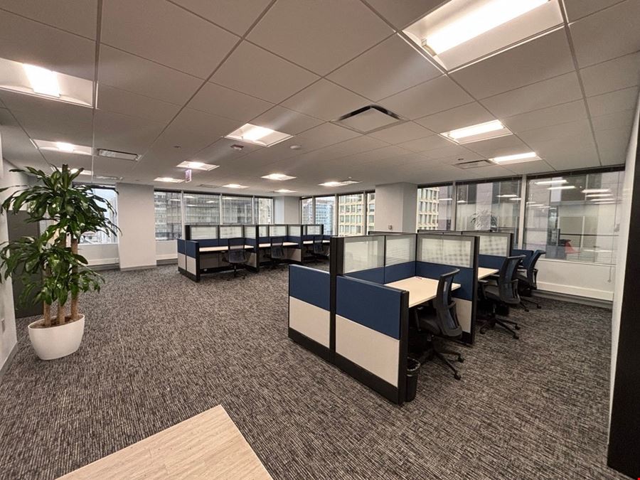 Carr Workplaces - The Loop