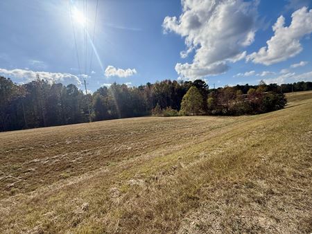 VacantLand space for Sale at Brandon Hwy 18 7.74 AC in Brandon