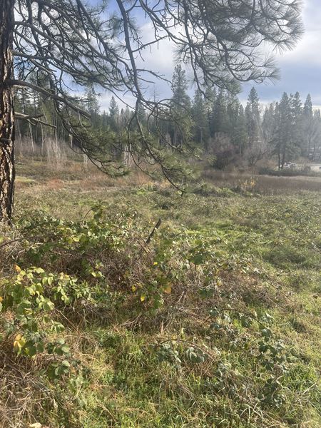 VacantLand space for Sale at Grass Valley Adams Lane Lot in Grass Valley