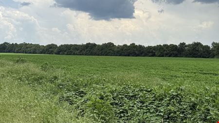 17.6-Acre Opportunity – Mixed-Use Zoning in Dothan, AL