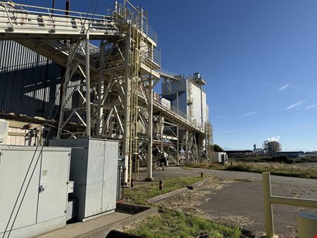 Biomass Co-Generation Plant: Grid Ready / Carbon-Negative Potential